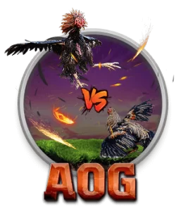 AOG Cockfighting