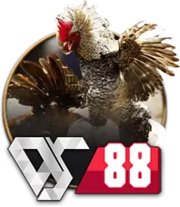 Cockfight Casino