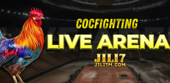 jili7 cockfight