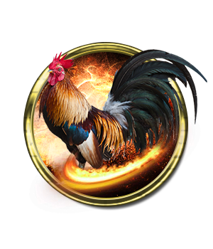 Knife Blade Cockfighting