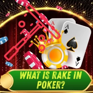 What is Rake in Poker? General Information You  Need to Know
